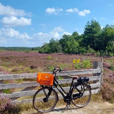 De Wielen 70